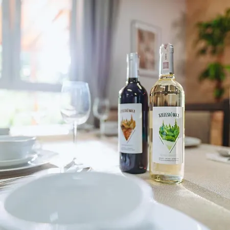 Hotel Szelesiowka & Chodzież