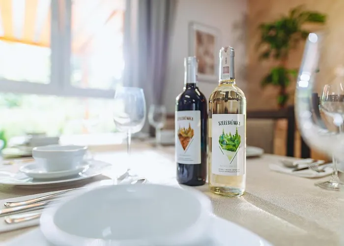 Отель Szelesiowka & Ходзеж